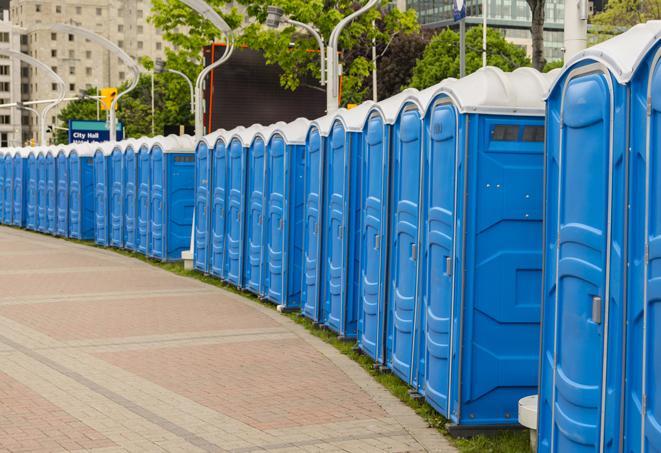 Seasonal porta potty units set up at a Kelso, Washington venue